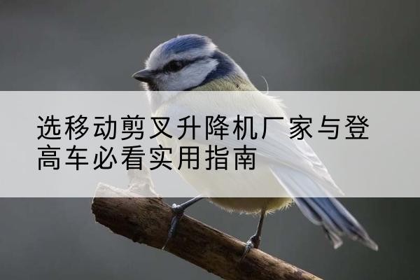 巴林右旗电动升降机厂家-选移动剪叉升降机厂家与登高车必看实用指南