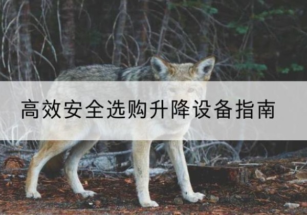 巴林右旗升降货梯厂家推荐-*安全选购升降设备指南